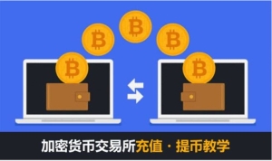 交易所(钱包)提币充币通用教程