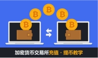 交易所(钱包)提币充币通用教程